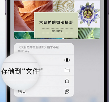 礼泉apple维修中心分享iPhone文件应用中存储和找到下载文件