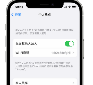 礼泉apple服务站点分享iPhone上个人热点丢失了怎么办