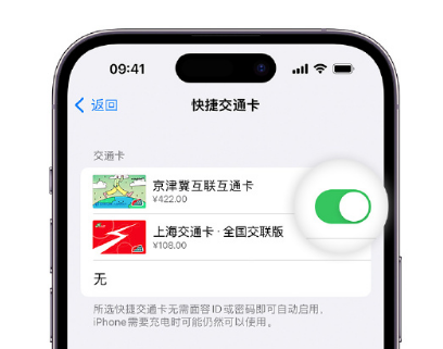 礼泉apple维修点分享iPhone上更换Apple Pay快捷交通卡手绘卡面 