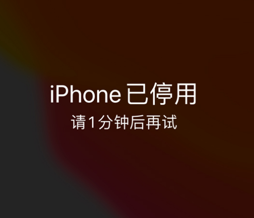 礼泉苹果手机维修分享:iPhone 显示“不可用”或“已停用”怎么办？还能保留数据吗？ 