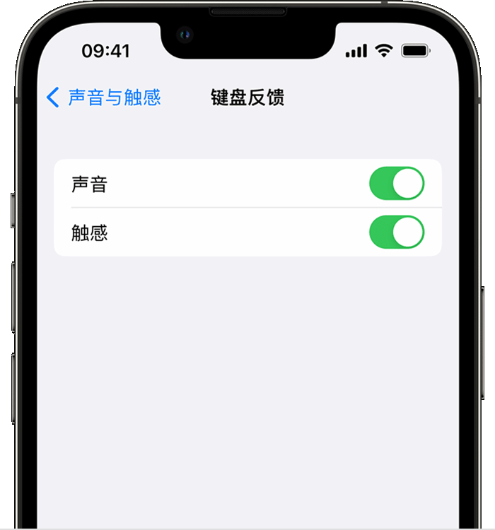 礼泉苹果14维修店分享如何在 iPhone 14 机型中使用触感键盘 