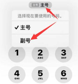 礼泉苹果14维修店分享iPhone 14 Pro Max使用副卡打电话的方法 