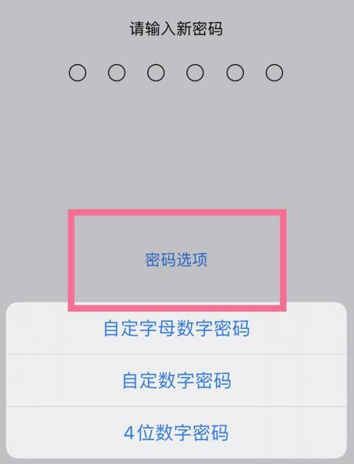 礼泉苹果14维修分享iPhone 14plus设置密码的方法 