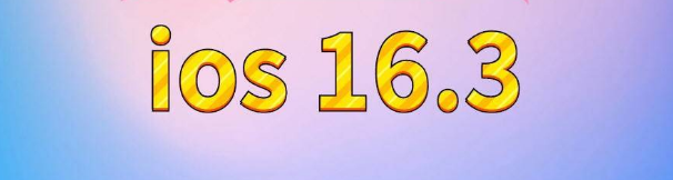 礼泉苹果服务网点分享苹果iOS16.3升级反馈汇总 