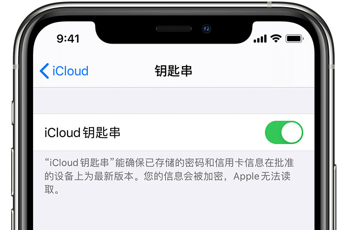 礼泉苹果手机维修分享在 iPhone 上开启 iCloud 钥匙串之后会储存哪些信息 