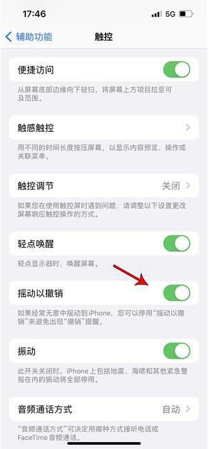 礼泉苹果手机维修分享iPhone手机如何设置摇一摇删除文字 