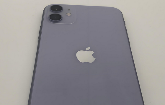 礼泉苹果11系统维修分享iPhone11手机系统崩溃无法开机如何解决