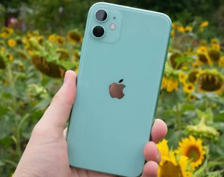 礼泉苹果维修点分享iPhone 11锁屏密码认知与使用科普 