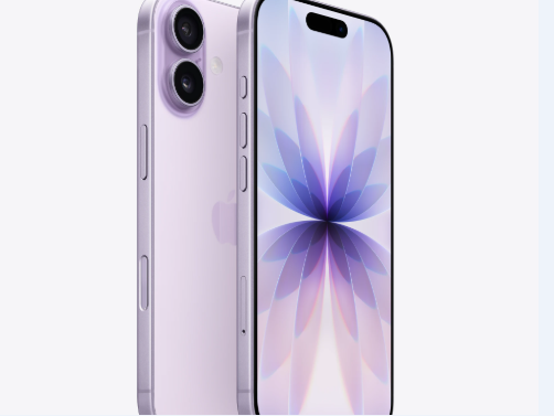 礼泉苹果维修点分享iPhone 17锁屏密码使用参考 